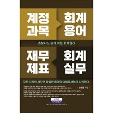 계정과목 회계용어 재무제표 회계실무:초보자도 쉽게 아는 회계원리, 지식만들기, 손원준