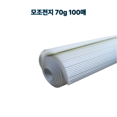 모조전지 70g 전지 100매 1개