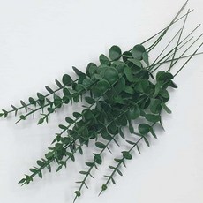 티에스몰 유칼립투스조화 조화장식