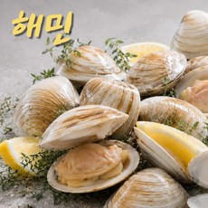 백상합 1kg - 중국산 산지직송 자연산, 1개, 중국산 백상합(대) 1kg(8~12미)