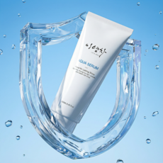 이영차 아쿠아세럼 단백질 수분 헤어에센스, 1개, 250ml