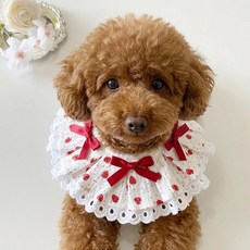 하니펫 반려동물 귀요미스카프 딸기 리본 레이스, 1개, 레드