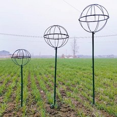 철제 구형 덩쿨식물 지지대 원형 넝쿨 장식 등반대, 1개, 화이트 / 지름35x높이130cm / 1개