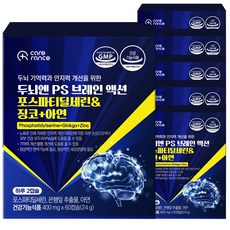 케어란스 두뇌엔 PS 브레인 액션 포스파티딜세린&징코&아연, 6개, 60정