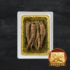국내산 프리미엄 고랭지 더덕 선물세트 설날 명절, 산더덕(200g x 1팩)