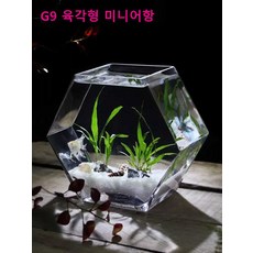 육각형 미니어항 수조 열대어 수조 수족관 미니 수경 꽃병, 1개