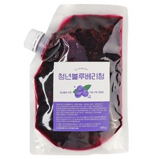 청년수제청 과일청 자일로스 수제 블루베리청, 2개, 500g