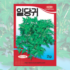 일당귀씨앗 2g [26년포장] 경신종묘 당귀종자