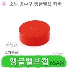 카바 앵글밸브캡 65A 소방 스프링클러 배관 방수구, 1개