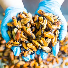 무첨가물 삼천포 손질 건조 홍합, 1개, 500g