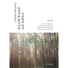 기후변화에 대항하는독일시와 한국시의 기상학적 의식, 국학자료원, 송용구