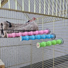 횟대 발톱 앵무새 중 부리갈이, 1개