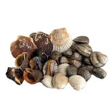 두팜 조개구이 2kg 세트 조개모듬 캠핑조개, 고급세트 (키조개미포함) 2kg 내외, 1개