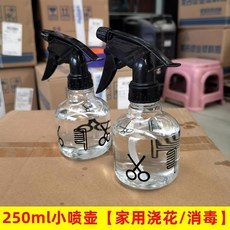 壓力噴水壺 澆花噴壺 消毒噴瓶, 1個, 250毫陞小噴壺 1個加厚