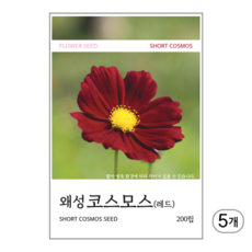 새싹바라기 왜성코스모스(레드) 씨앗 200립, 5개