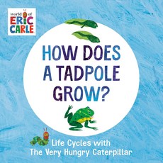 올챙이는 어떻게 자나요 매우 배고픈 애벌레와 함께하는 삶의 주기 에릭 칼의 세계, Board book