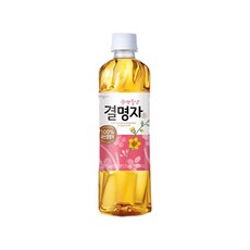 웅진 광명찾은 결명자차, 500ml, 40개