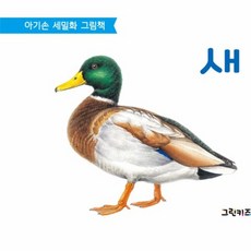 아기손 세밀화 그림책 - 새, 상품명