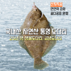 [산지직송] 25년 국내산 자연산 통영 여수 새벽조업 햇 생물도다리 800g 손질후 500g 2세트 급냉, 1박스, 새벽조업 당일배송 생물도다리 400~500g 2미 원물