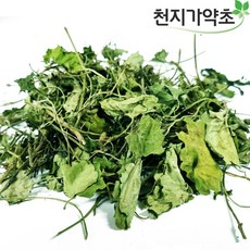 말린 광대나물 2026년 3월 생산, 2개, 100g