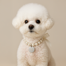 바이굄 강아지 인식표 진주모양 비즈 목걸이 써지컬 펜던트, 1개, 큐빅리본진주모양목걸이