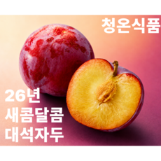 [인스타인기] 과즙폭발 새콤달콤 햇자두 대석자두, 30개, 1kg