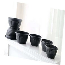 라세노 분재 호박화분 선인장화분, 15x10cm