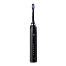 키슬러 덴탈케어 구강세정 음파전동칫솔, C100, BLACK, 1개