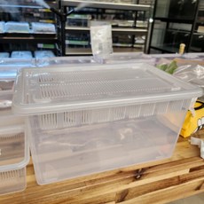 JIF 투명 적재형 케이지 사이즈 대 버전 2 크레스티드 게코 사육장, 1개