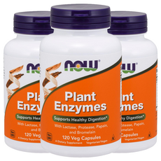 NOW Foods 植物酵素素食膠囊, 120顆, 3罐