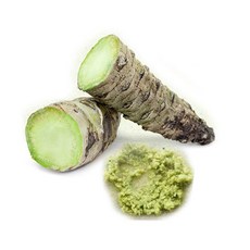 생와사비 고추냉이 생고추냉이 생와사비뿌리, 140g, 1세트