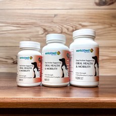 1-TDC 一錠護口腔牙齦保健 犬貓口腔護理 賽恩威特, 1個, 30錠/瓶