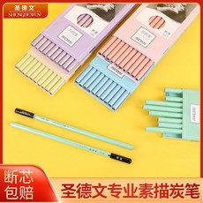 聖德文炭筆全套珍珠色素描速寫專用炭筆美術套裝炭筆14b亞光鉛筆, 軟, 1個