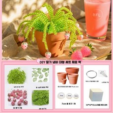 비즈식물 만들기 재료 부자재 조화 비즈 딸기 키트, 4. 라지 7X6cm