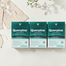 바디게이트 퀘르파인 시너지 부스터 퀘르세틴 브로멜라인 케르세틴, 3개, 21회분