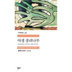 야생 종려나무