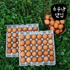 소문난맛집 구운계란 구운란 계란 대란 HACCP인증 파손보상, 1개, 30구
