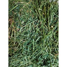 毛孩專屬牧草堂 戶外原生種植牧草 苜蓿 提摩西 燕麥草 甜小麥草 百慕達草, 1個, 苜蓿500g 過篩