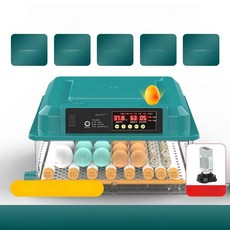 NOVA 병아리부하기 병아리부화기 메추리 달걀 가정용, 1개, 36알 이중 1단계 온도 습도 알람 5모드