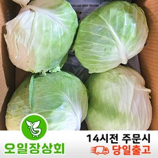 < 오일장상회> 국내산 양배추 5kg내외 갯수 랜덤, 5kg, 1세트