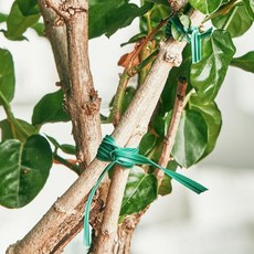 원예용품 식물 지지대 철사