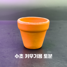 수초 키우기용 토분 5호