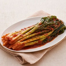 [참맛나김치] 30년 전통 별미 파김치 1kg 외 국내산 김치, 열무물김치 2kg, 1개