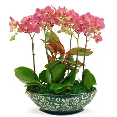 살구향MTFF016, 서울특별시／광역시／경기도, 베이직, 필요없음