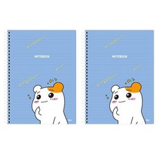 아이비스 에비츄 좌철스프링노트, 별똥별, 2개