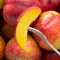 신비복숭아 (속 하얀색) 로얄과 2kg (10-22과), 2kg 개, 1개