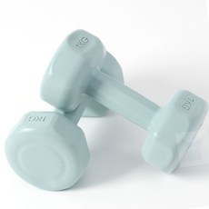 호프스토어 육각 아령 2개세트1KG 블루 여자아령