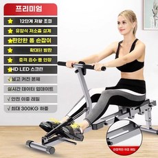 가정용 실내운동기구 로잉머신, B. 듀얼 트랙 12단 저항 HD디스플레이, B. 이중 레일 12단 저항