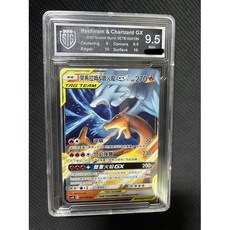 中文鑑定 TSG9.5 TAG TEAM 萊希拉姆&噴火龍 GX, 1個