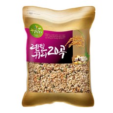 현대농산 렌틸콩 귀리혼합 20곡 혼합곡 5kg, 1개